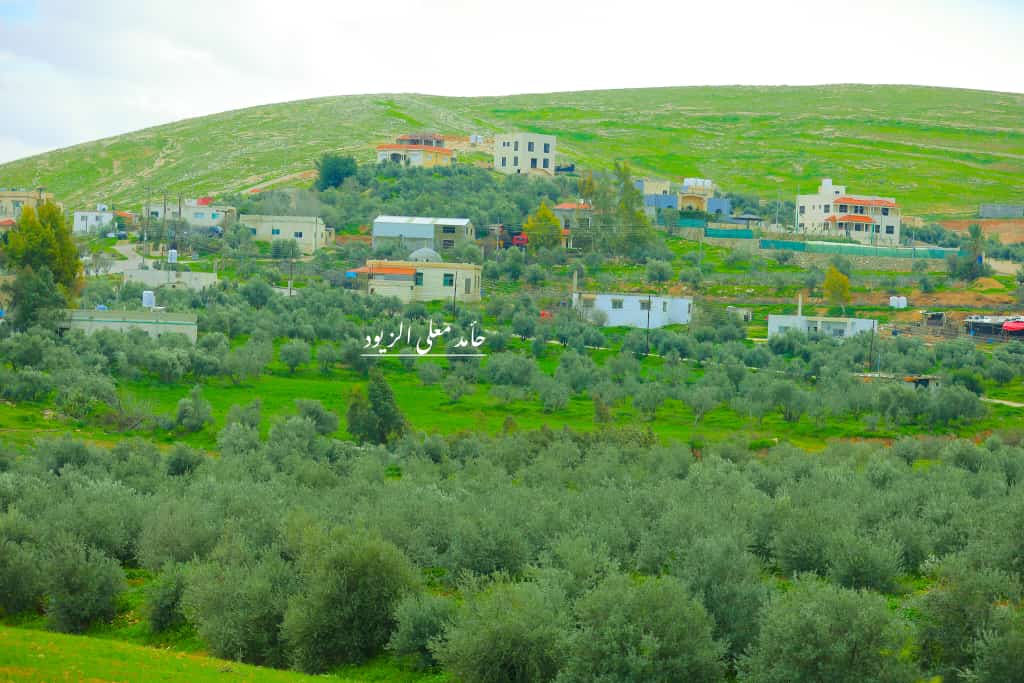 Madar Al-Saa Images 0.9095556190643268