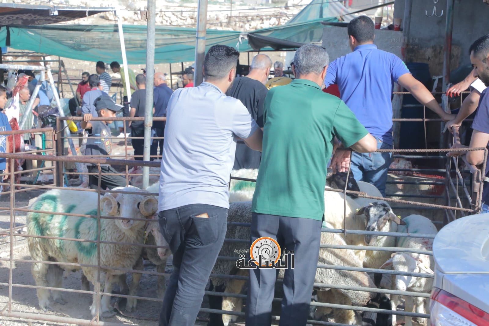 Madar Al-Saa Images 0.3060886743230353