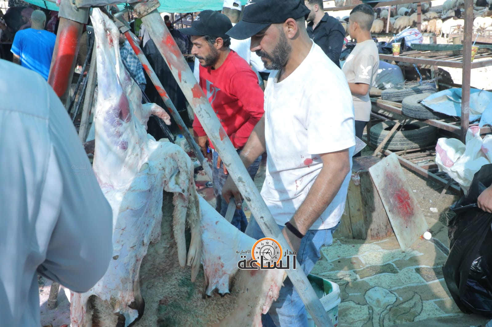 Madar Al-Saa Images 0.47107470328800405