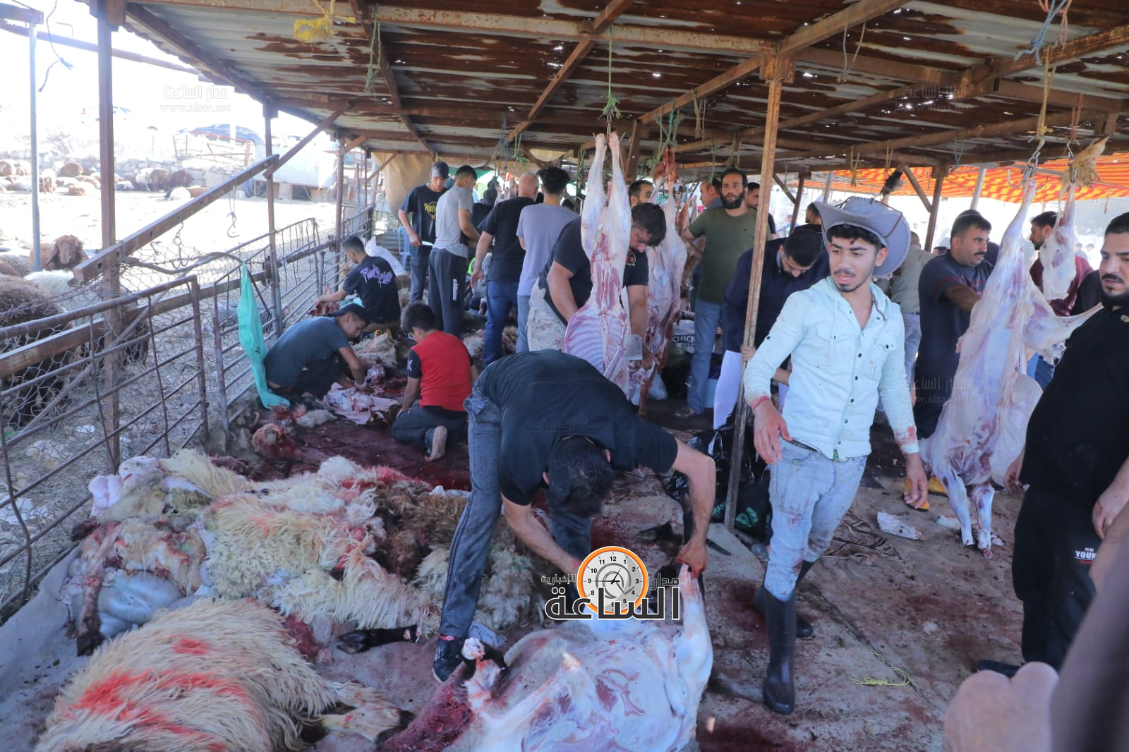 Madar Al-Saa Images 0.7614834527996173