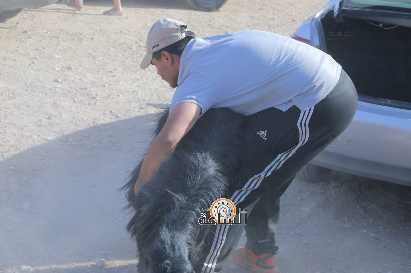 Madar Al-Saa Images 0.7728274110318225