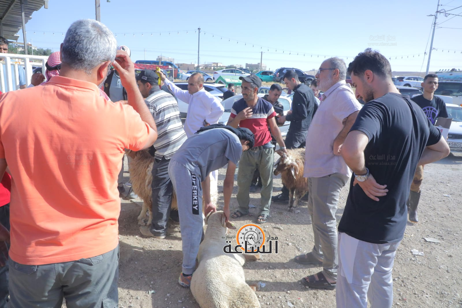 Madar Al-Saa Images 0.4388987722473947