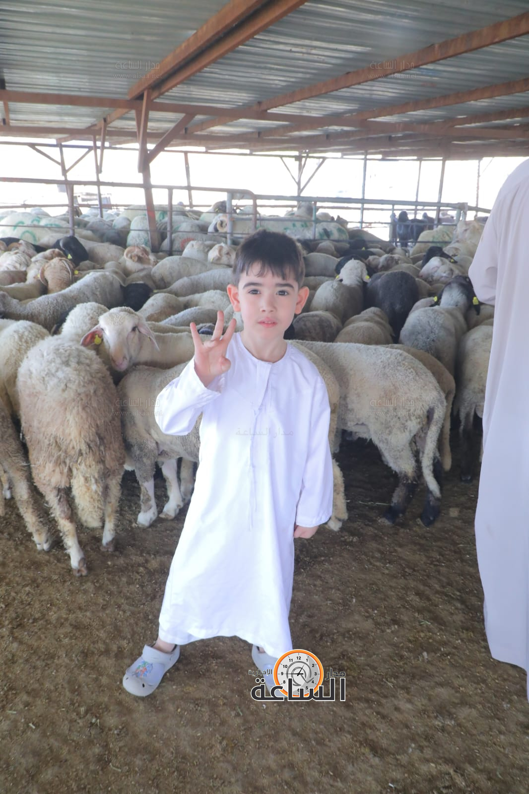 Madar Al-Saa Images 0.8077379183496063