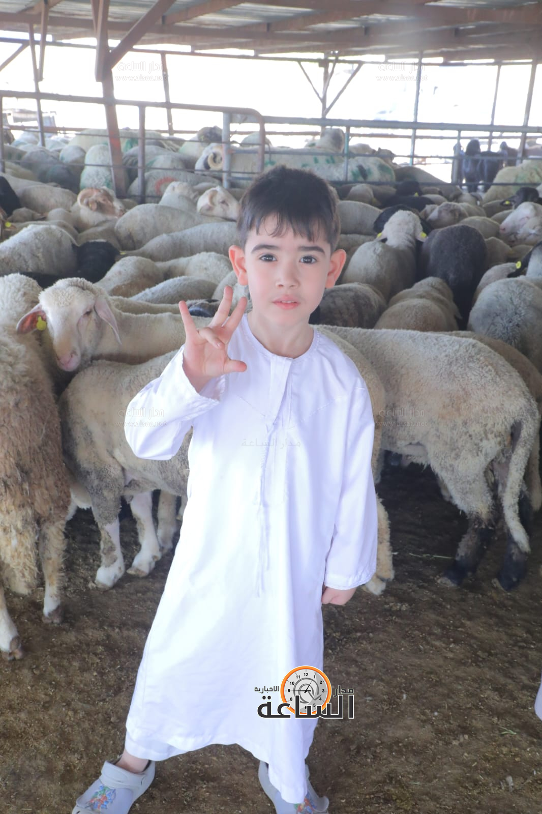 Madar Al-Saa Images 0.2679519921919007