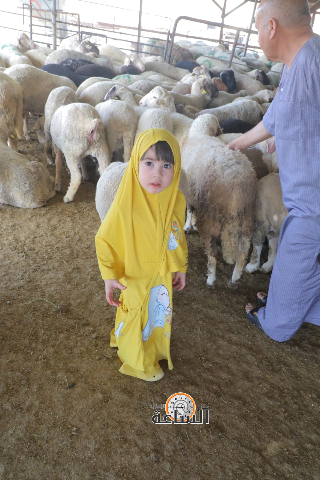 Madar Al-Saa Images 0.06542965385036248