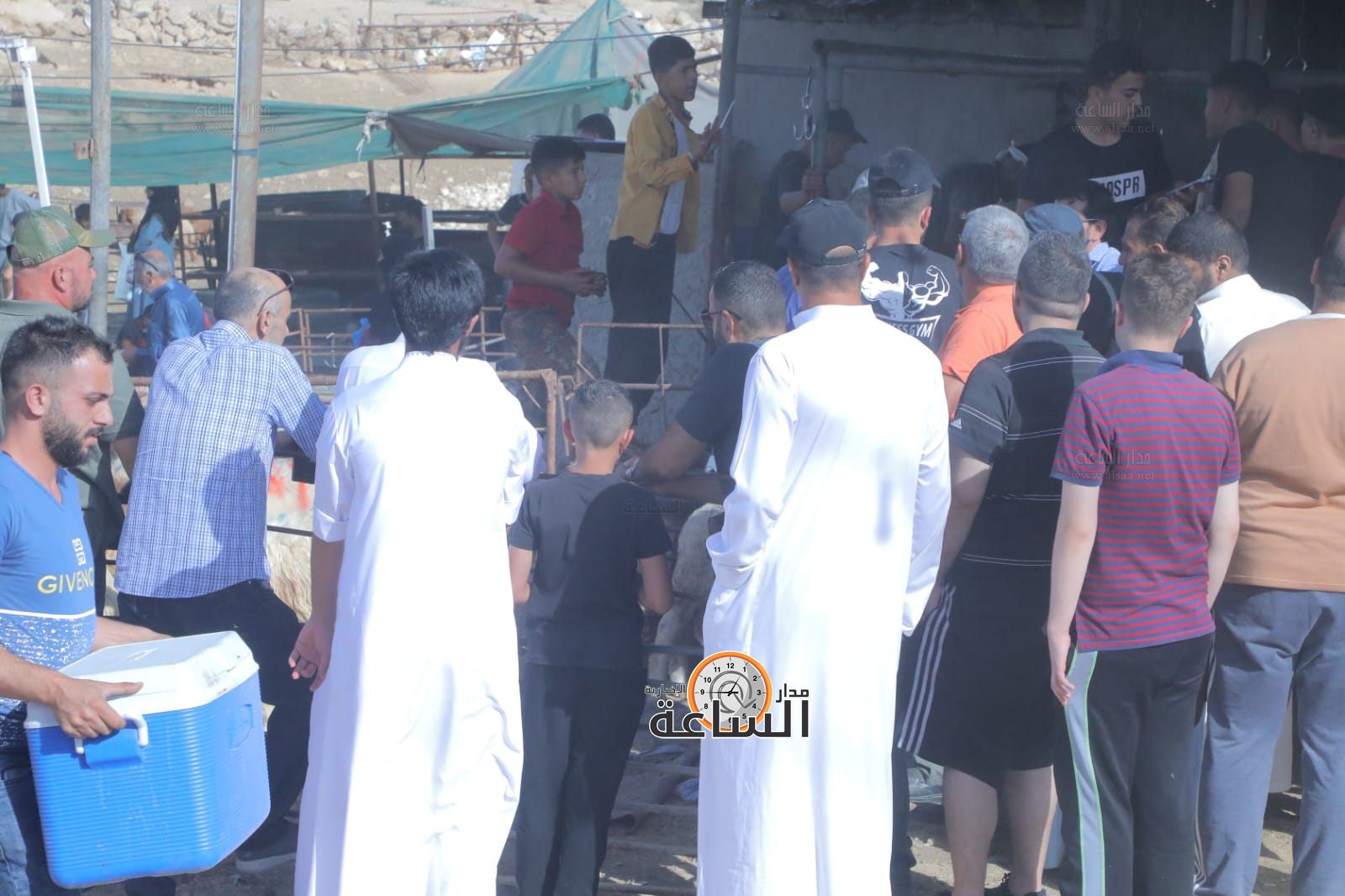 Madar Al-Saa Images 0.3888725988585624