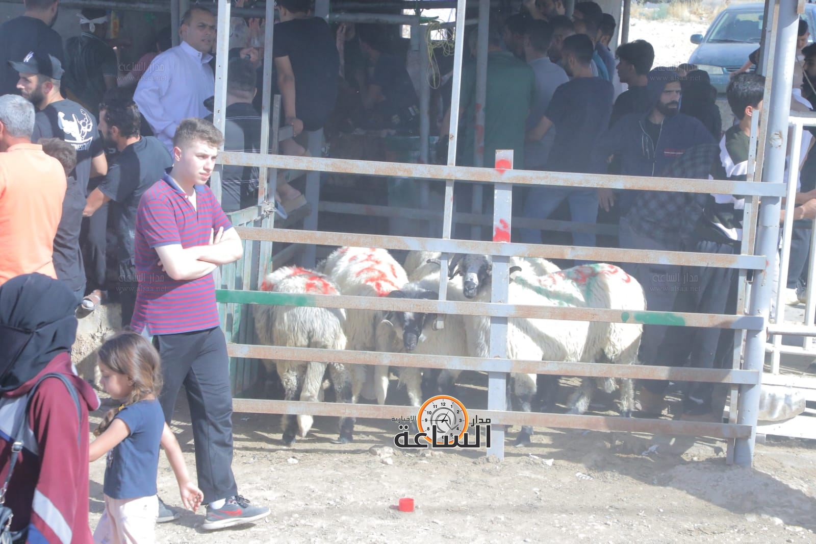 Madar Al-Saa Images 0.8022161729805555