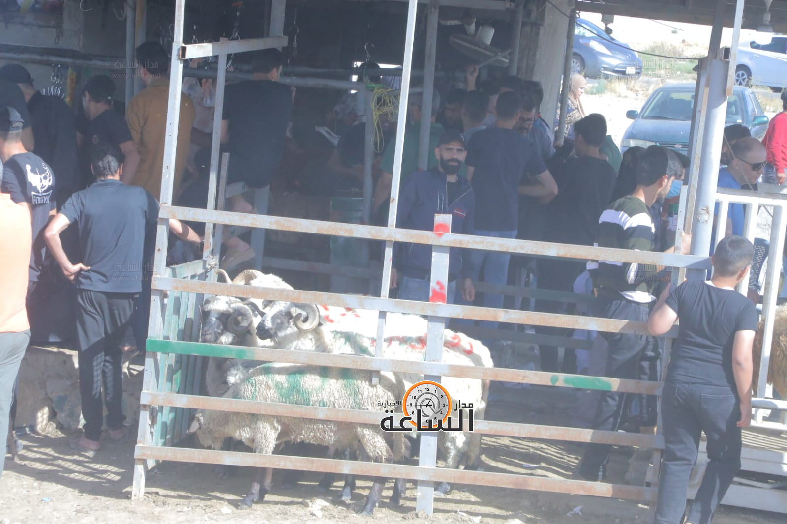 Madar Al-Saa Images 0.35040835793976055