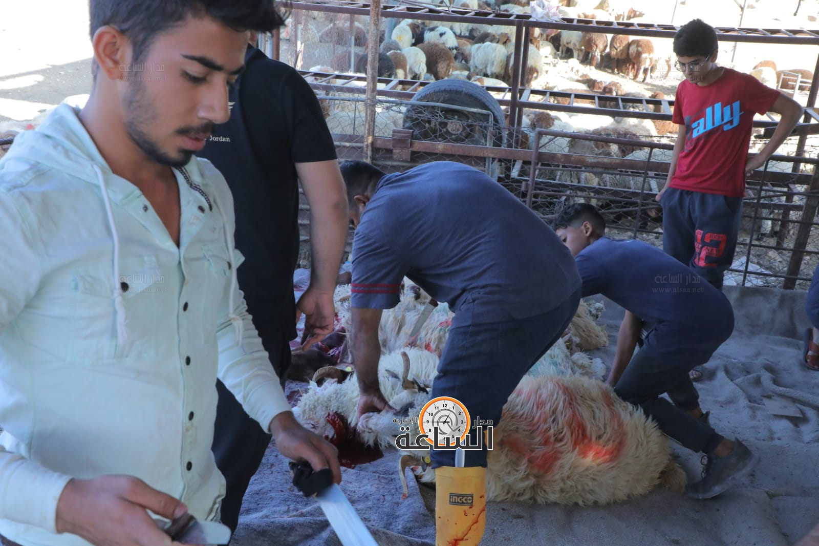 Madar Al-Saa Images 0.4360406877970586