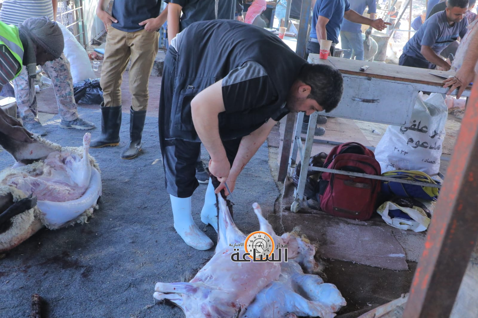 Madar Al-Saa Images 0.725319536655078