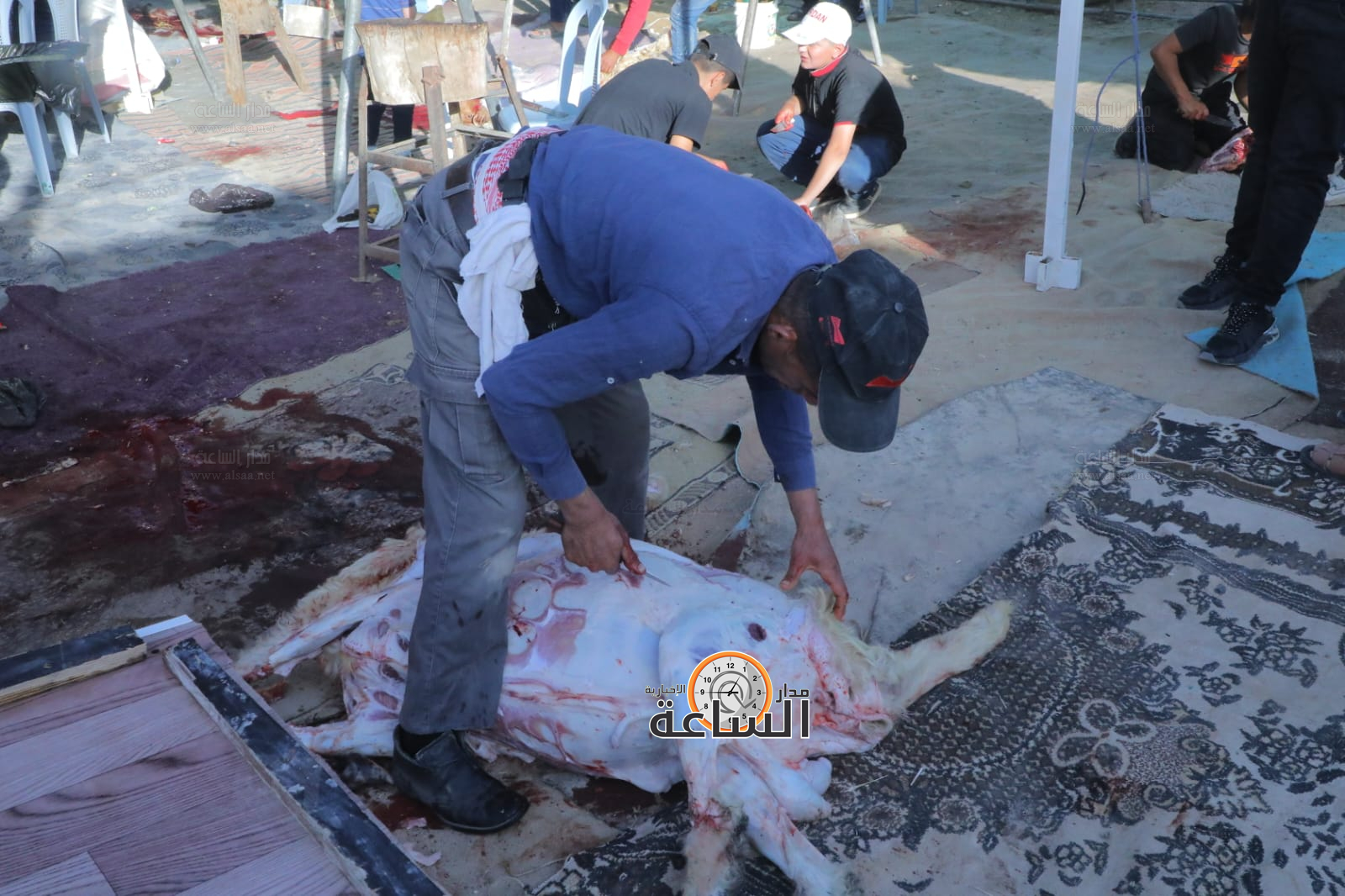 Madar Al-Saa Images 0.7220943345826387