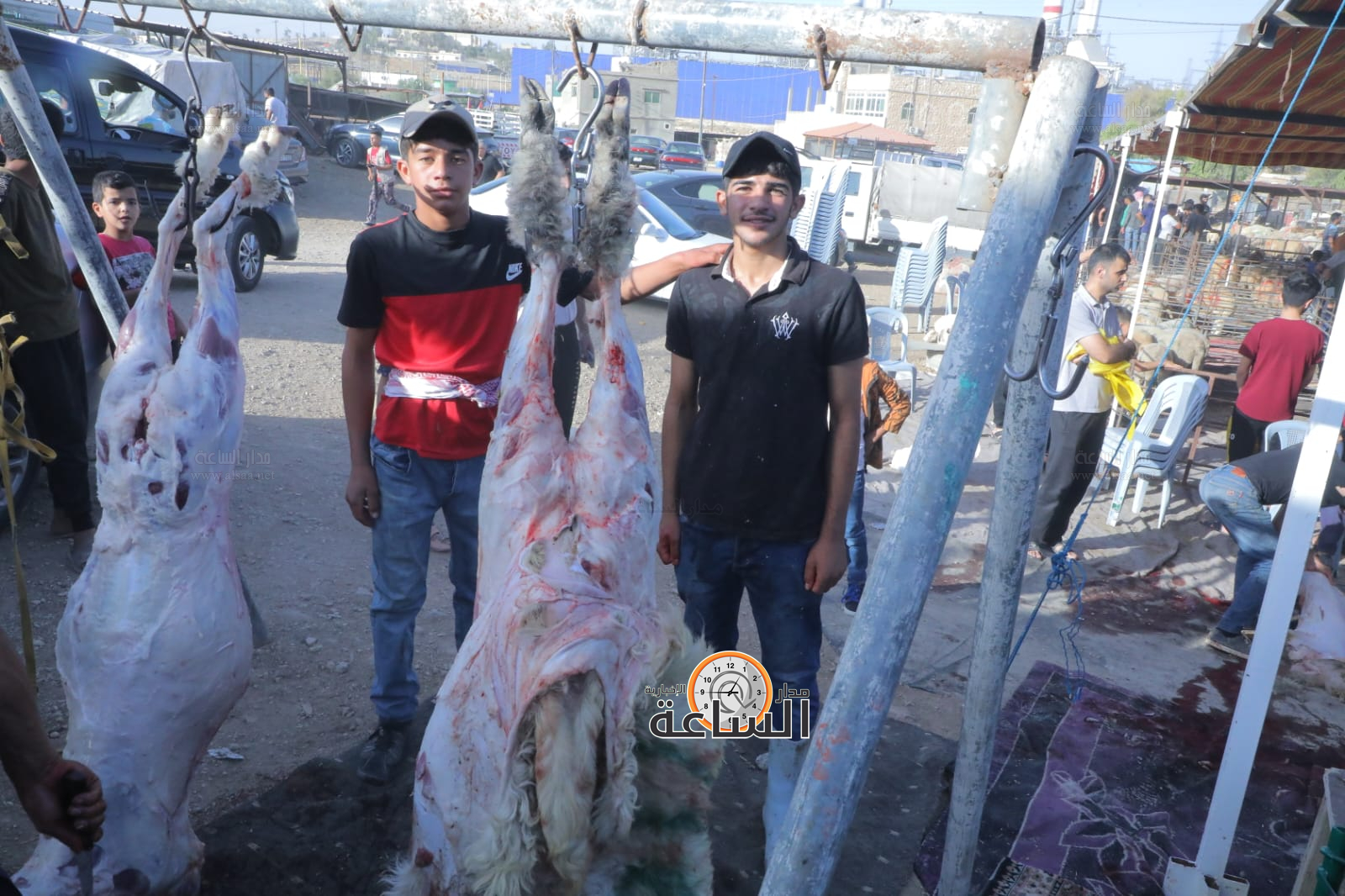 Madar Al-Saa Images 0.43936050640322444