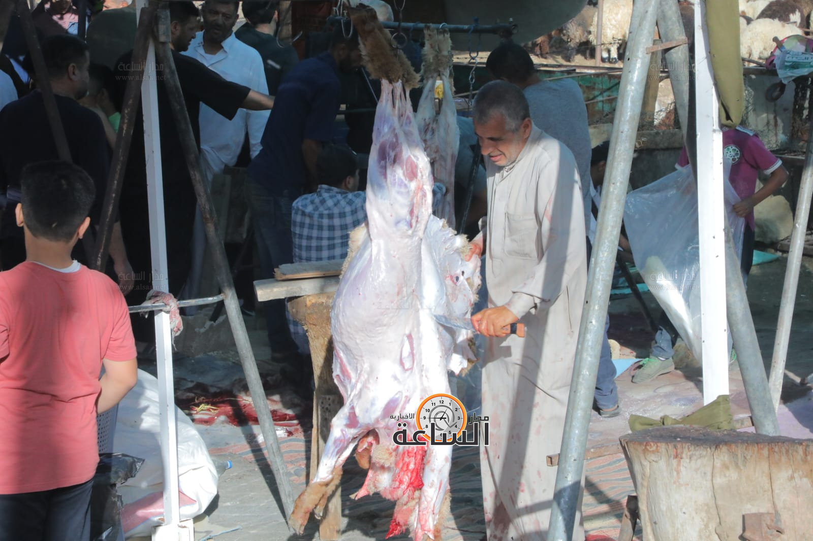 Madar Al-Saa Images 0.13365687009314842