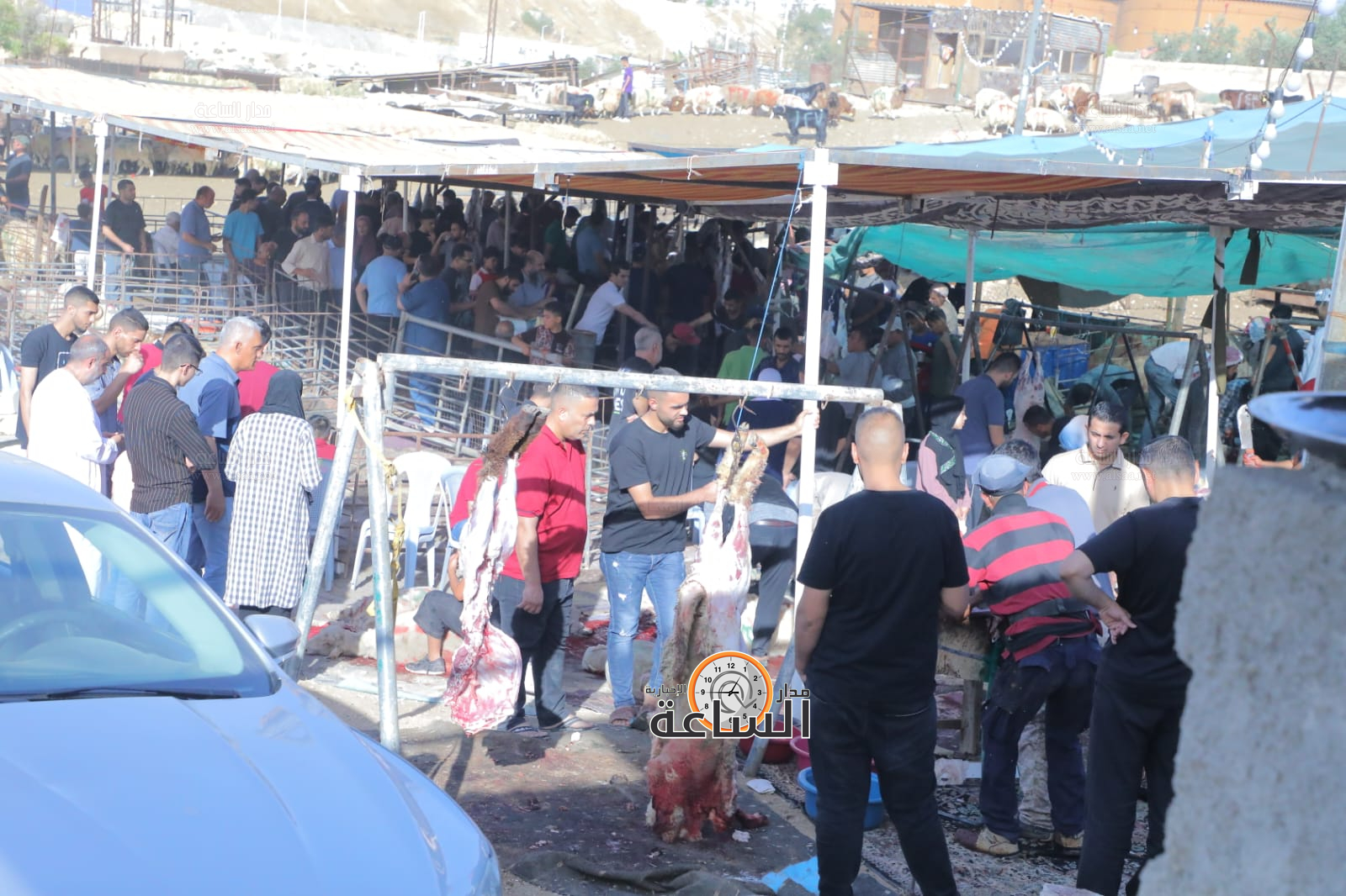 Madar Al-Saa Images 0.34827271790533176