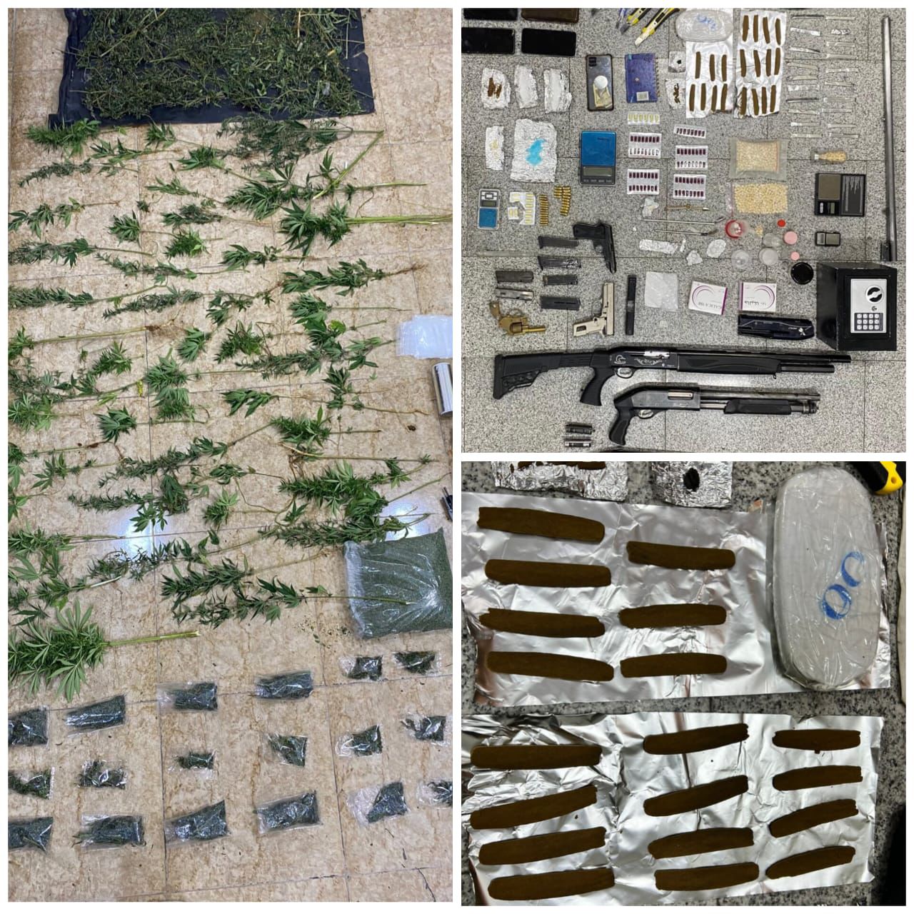 Madar Al-Saa Images 0.25291283916327756