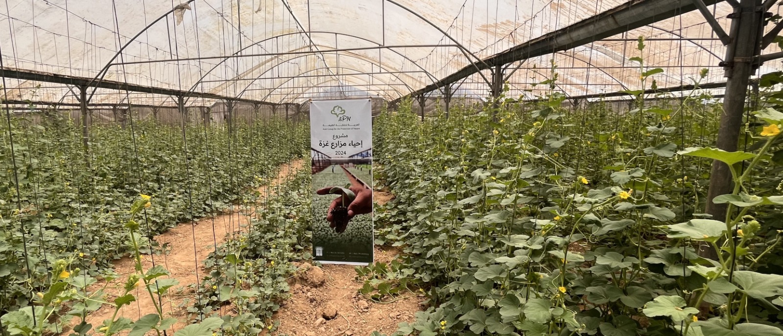 Madar Al-Saa Images 0.289013482752154