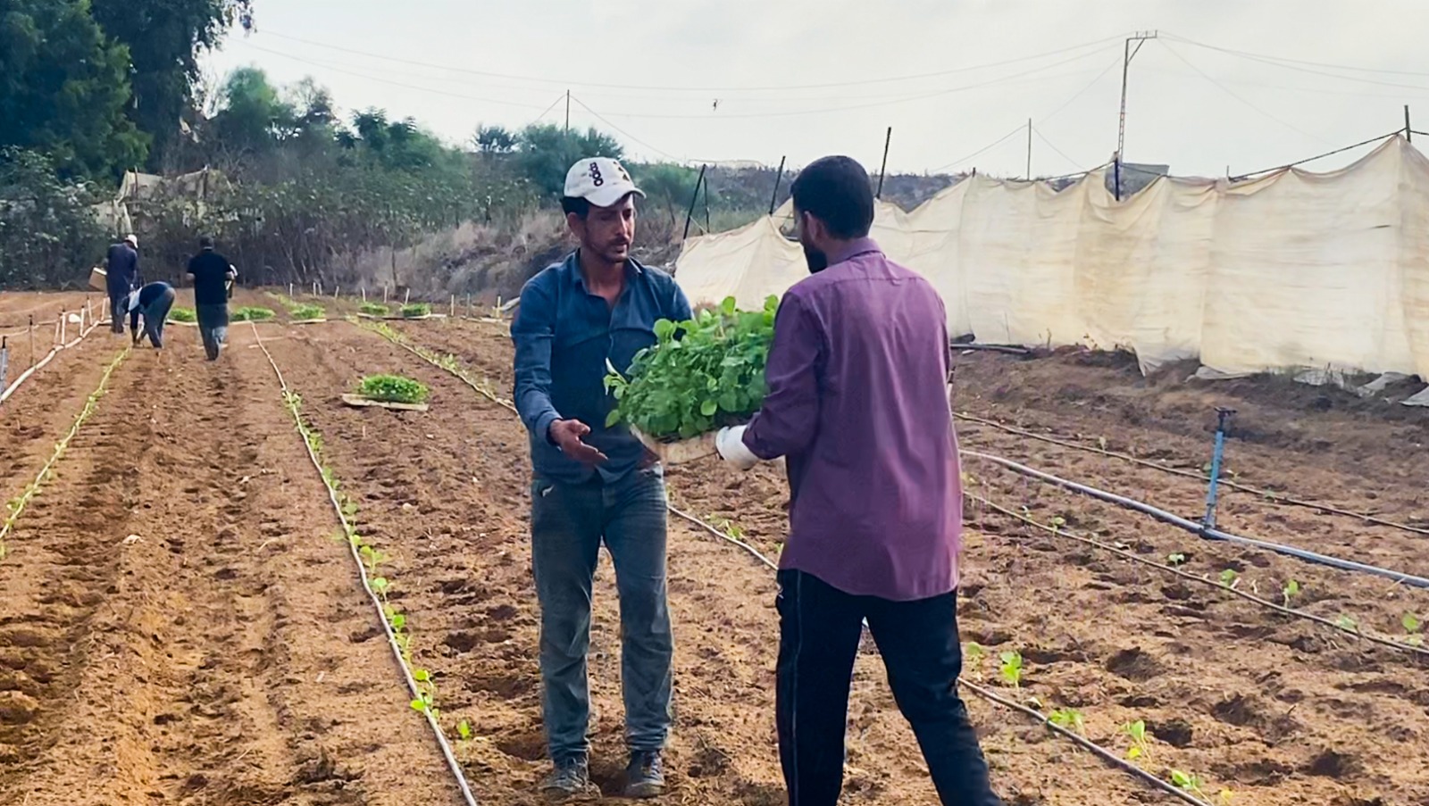 Madar Al-Saa Images 0.5846876174782576