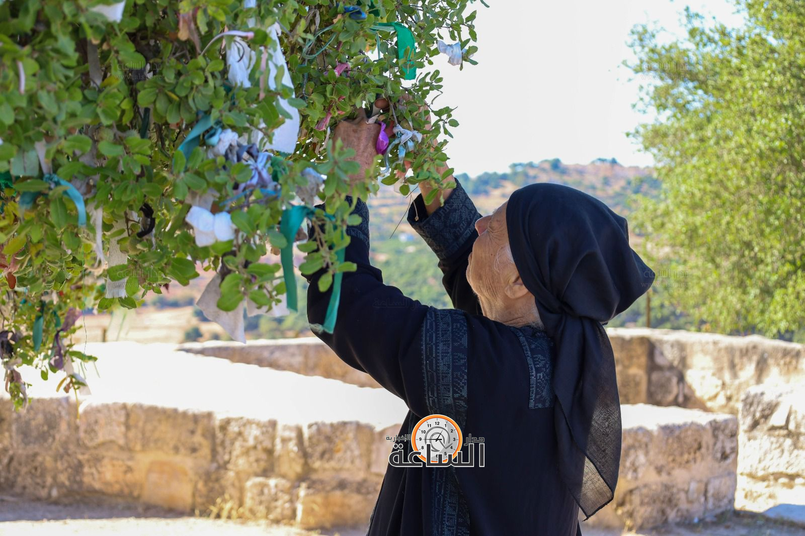 Madar Al-Saa Images 0.12373735353836812