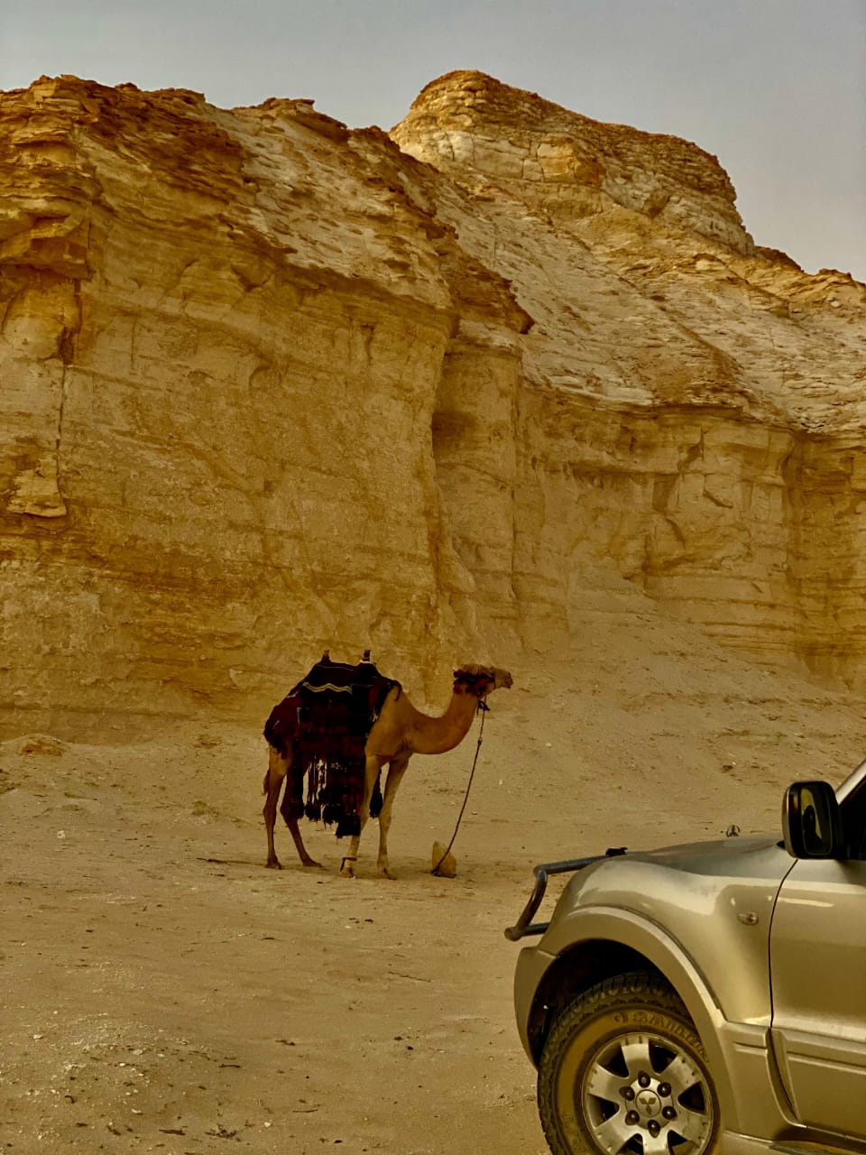 Madar Al-Saa Images 0.7463246848907321