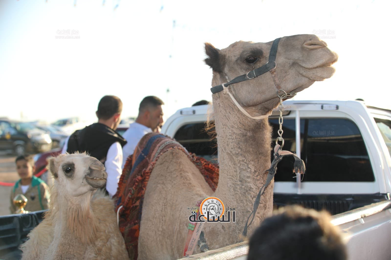 Madar Al-Saa Images 0.6711433374855988