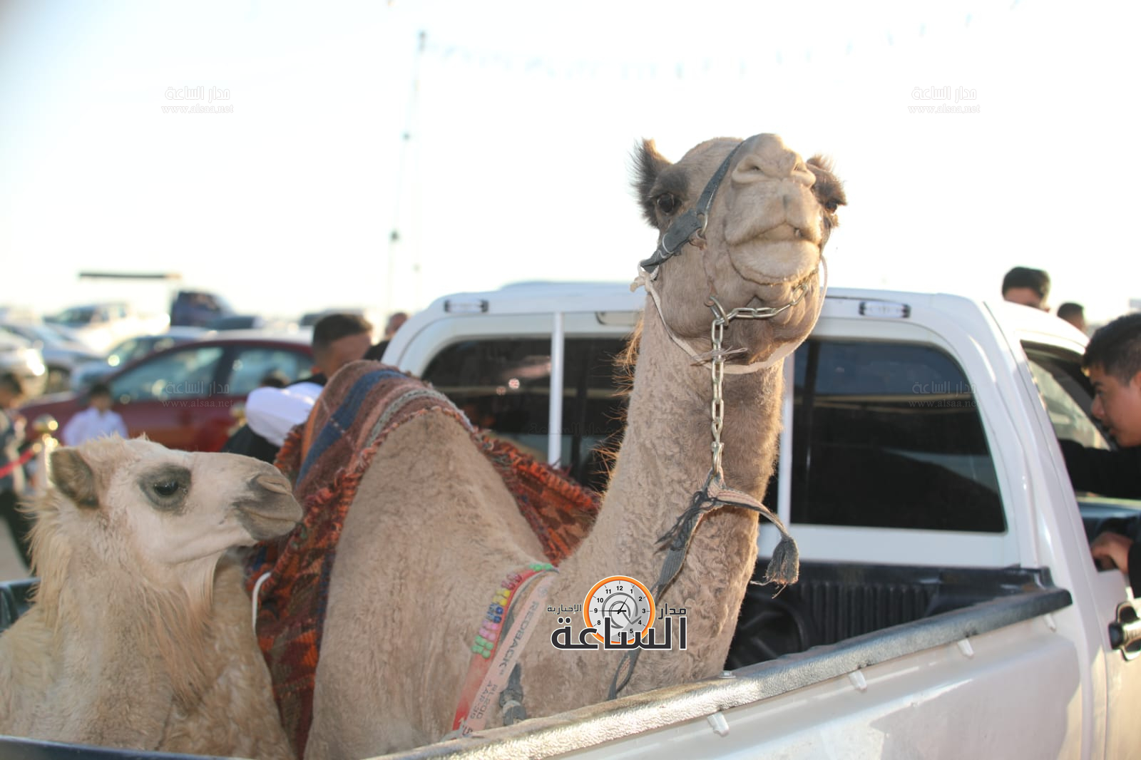 Madar Al-Saa Images 0.6954800123161675