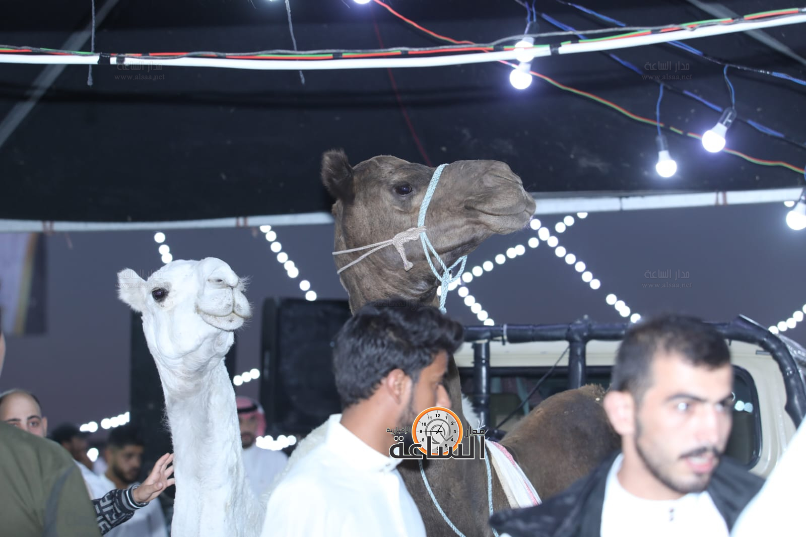 Madar Al-Saa Images 0.05384125680268781