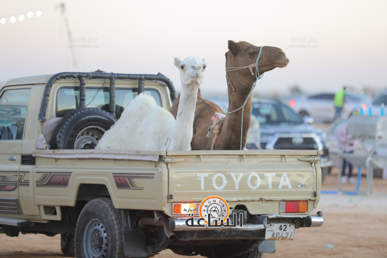 Madar Al-Saa Images 0.07658593676417991