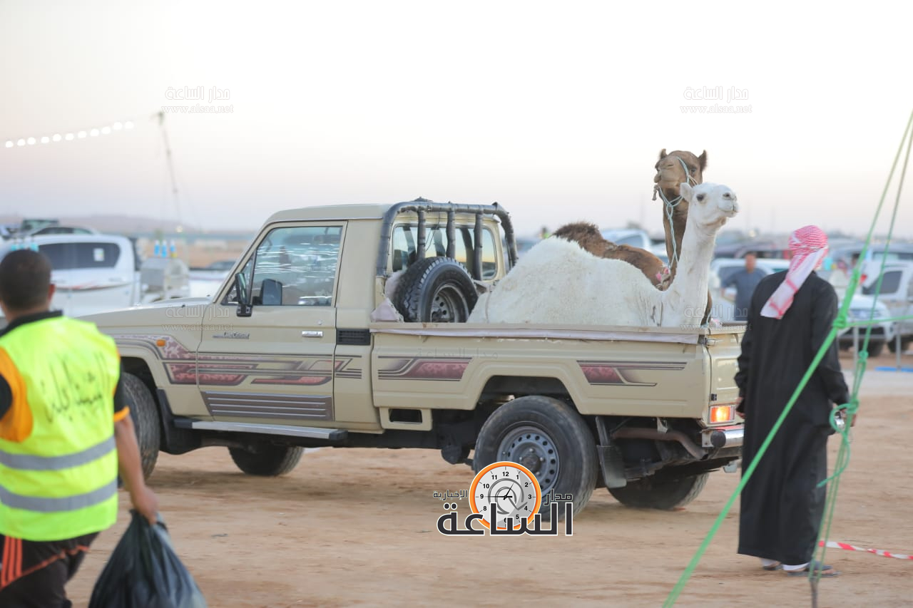 Madar Al-Saa Images 0.758836524455266