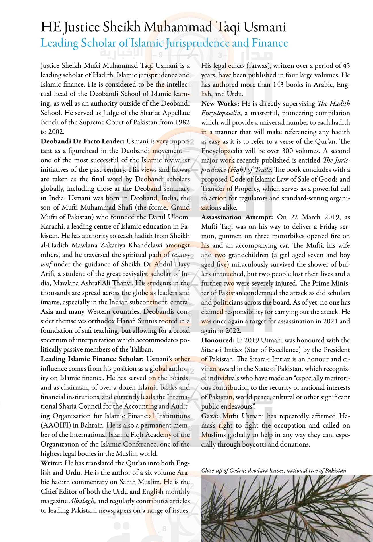 Madar Al-Saa Images 0.23042951446857485