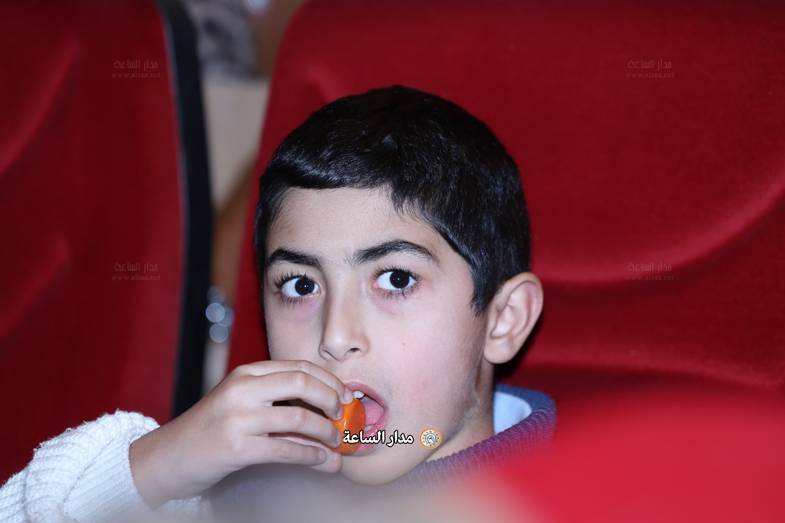 Madar Al-Saa Images 0.8175069635168386