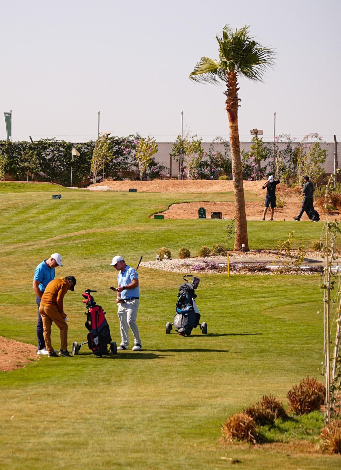 Madar Al-Saa Images 0.3947114902697504