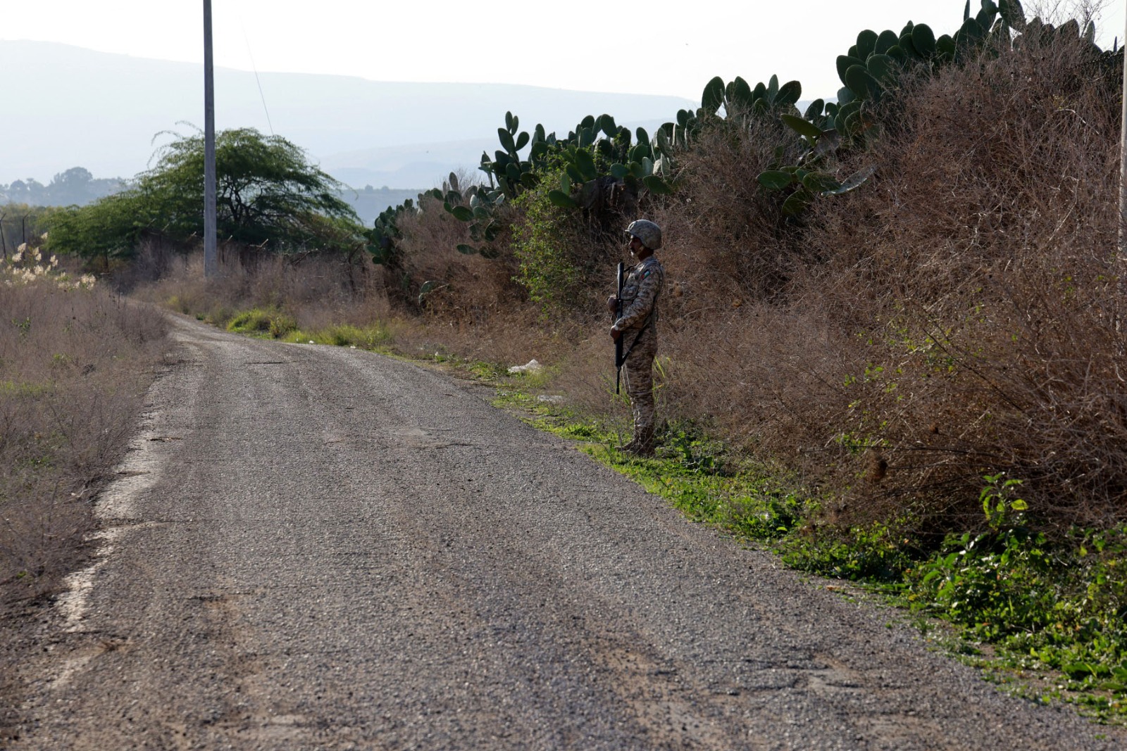 Madar Al-Saa Images 0.2350094548559185