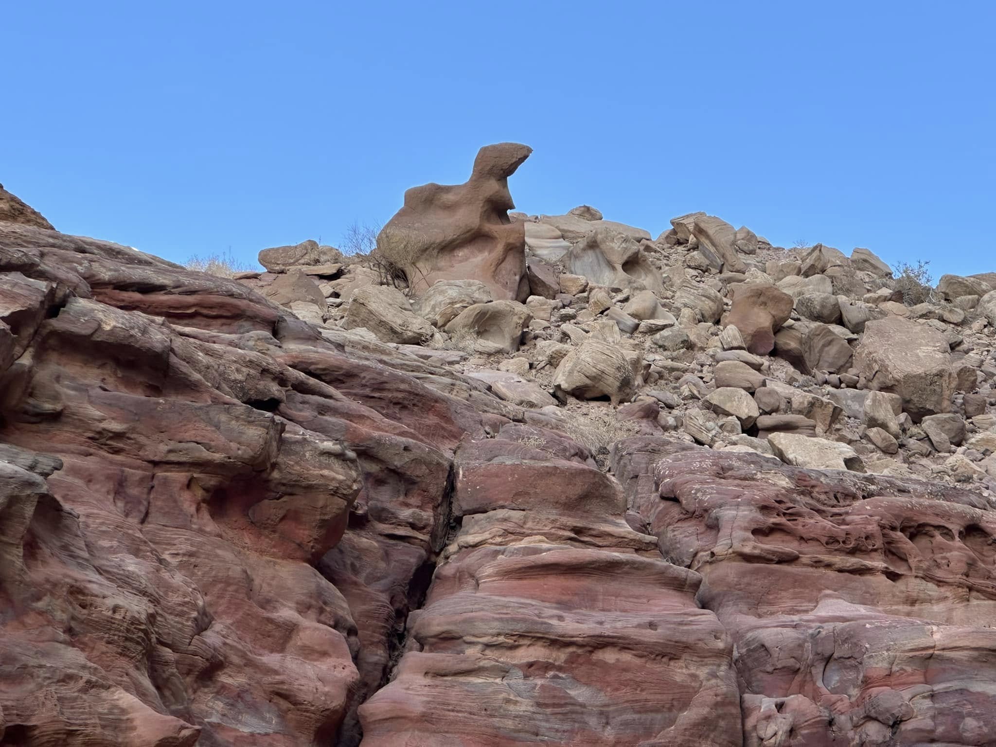 Madar Al-Saa Images 0.9442536220522937