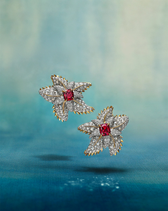 Madar Al-Saa Images 0.20799695169575527