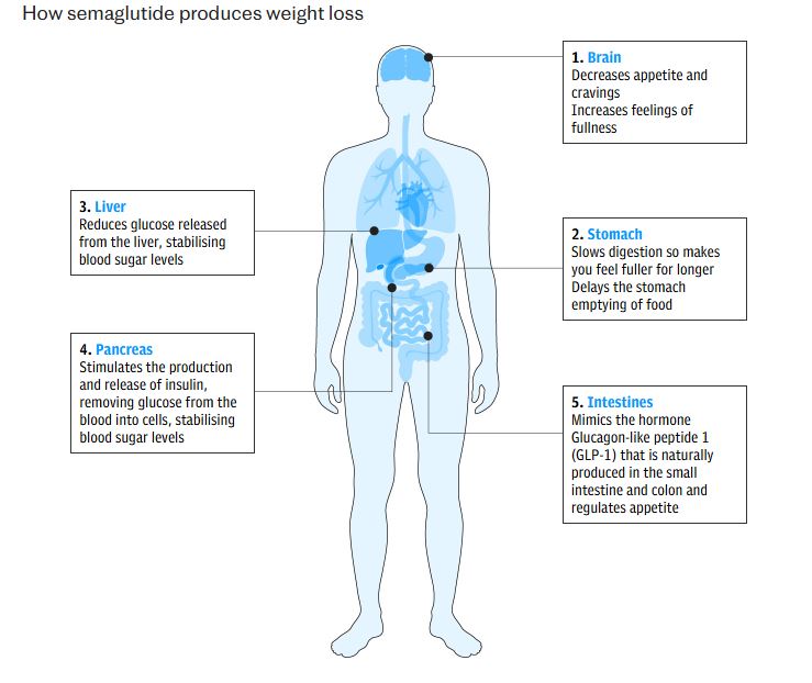 Madar Al-Saa Images 0.21461537853297408