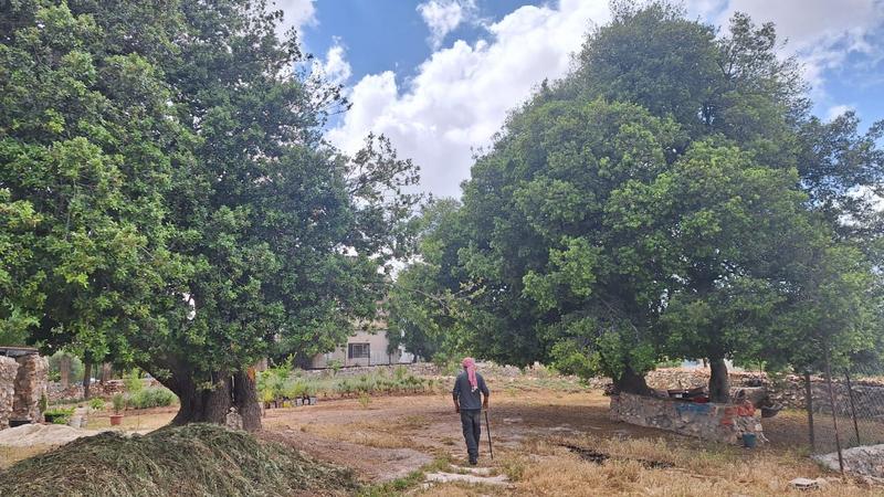 Madar Al-Saa Images 0.8860675151078438