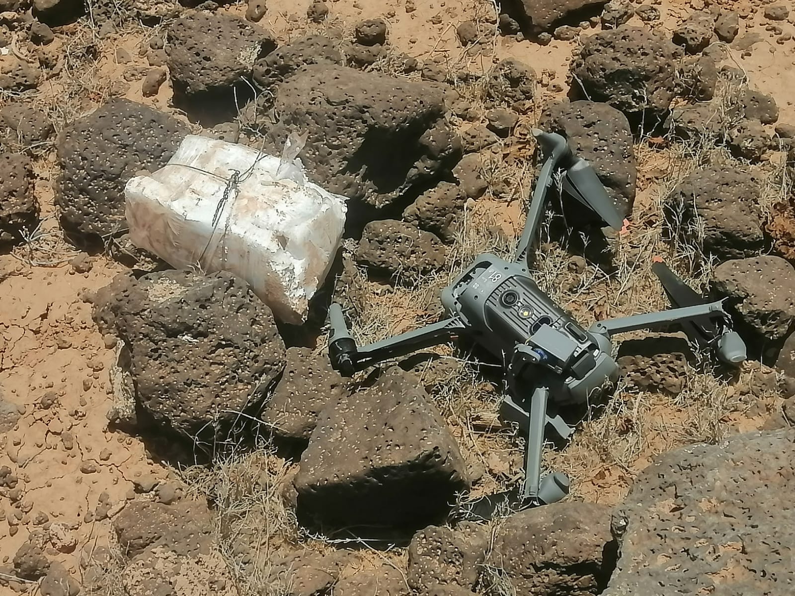 Madar Al-Saa Images 0.9918436317704803