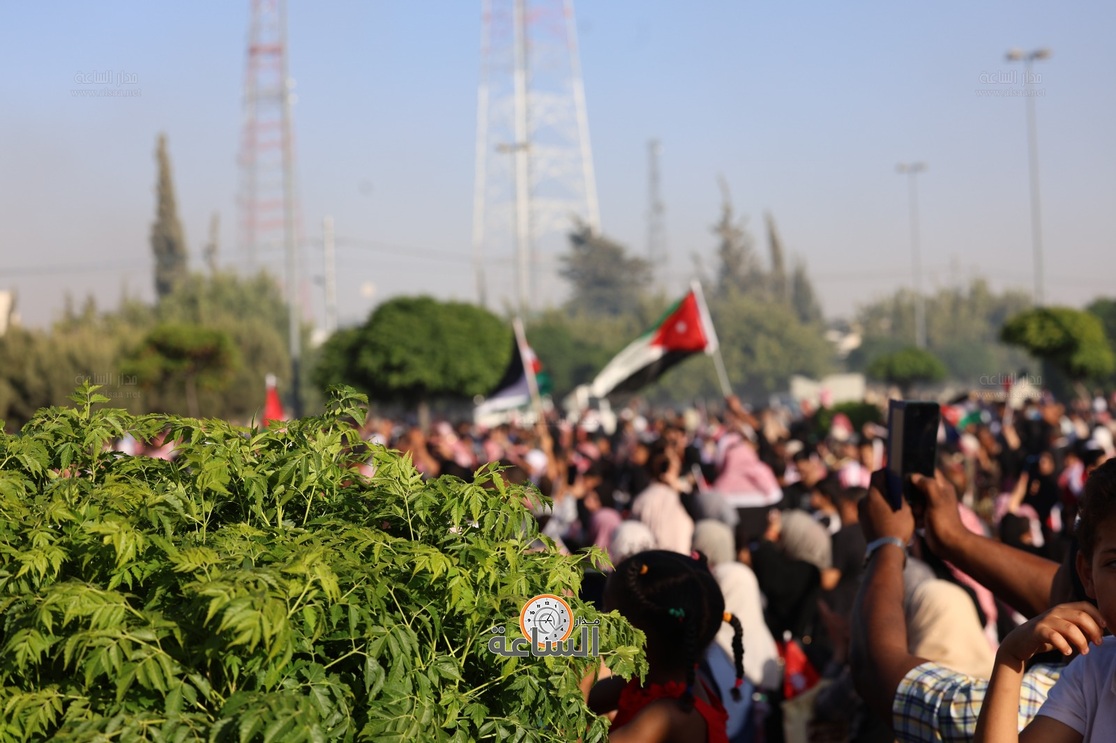 Madar Al-Saa Images 0.3457676144162093