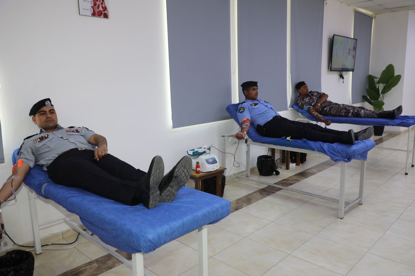 Madar Al-Saa Images 0.46886901608878484