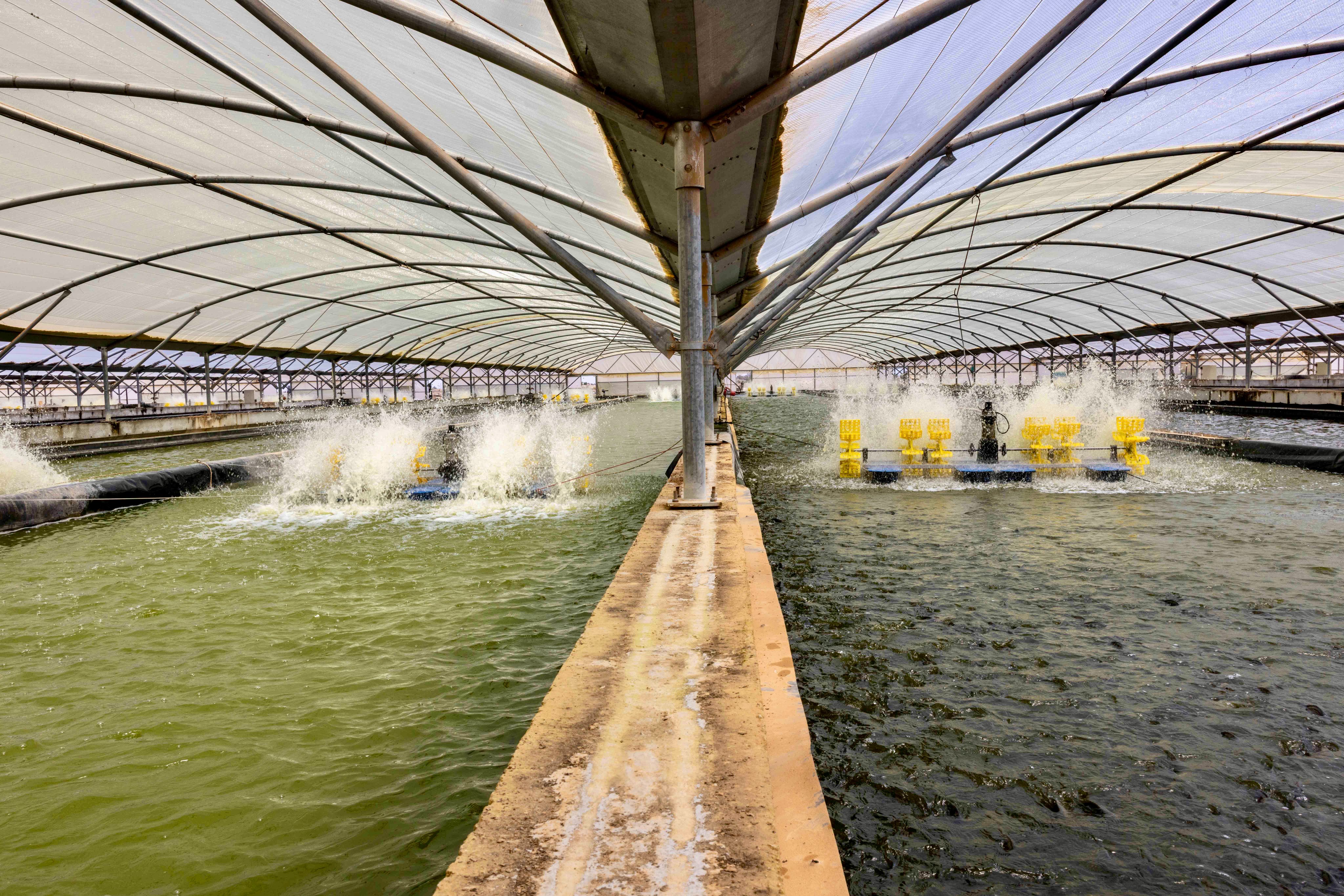 Madar Al-Saa Images 0.17836373859738064