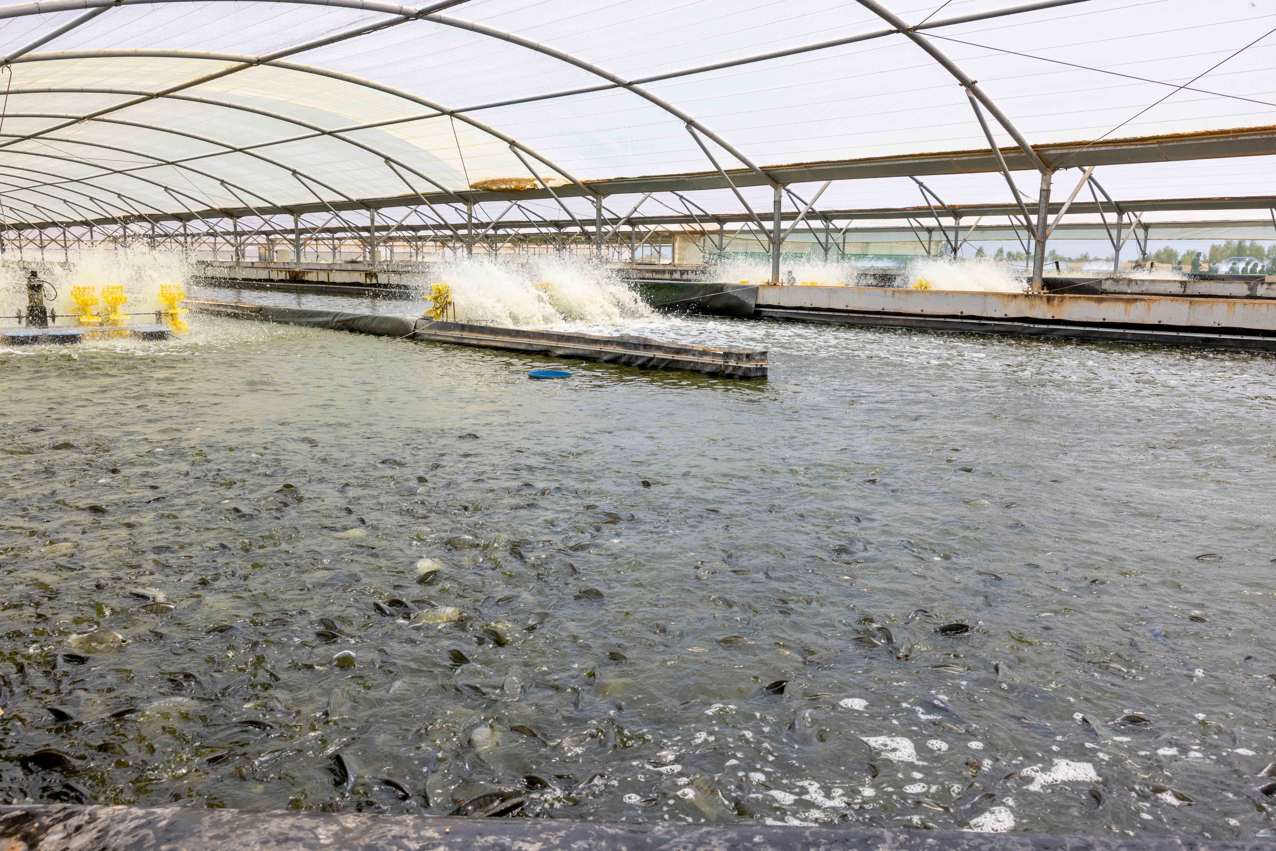 Madar Al-Saa Images 0.8174425655640841