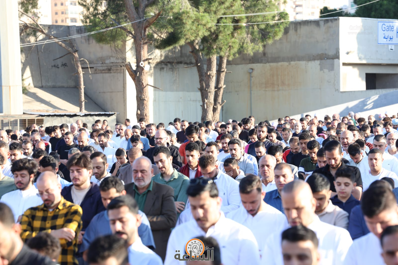 Madar Al-Saa Images 0.39569337236294366