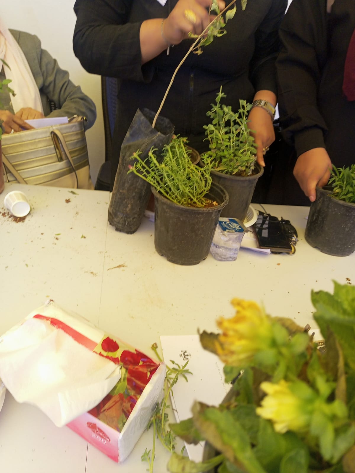 Madar Al-Saa Images 0.24195789542110968