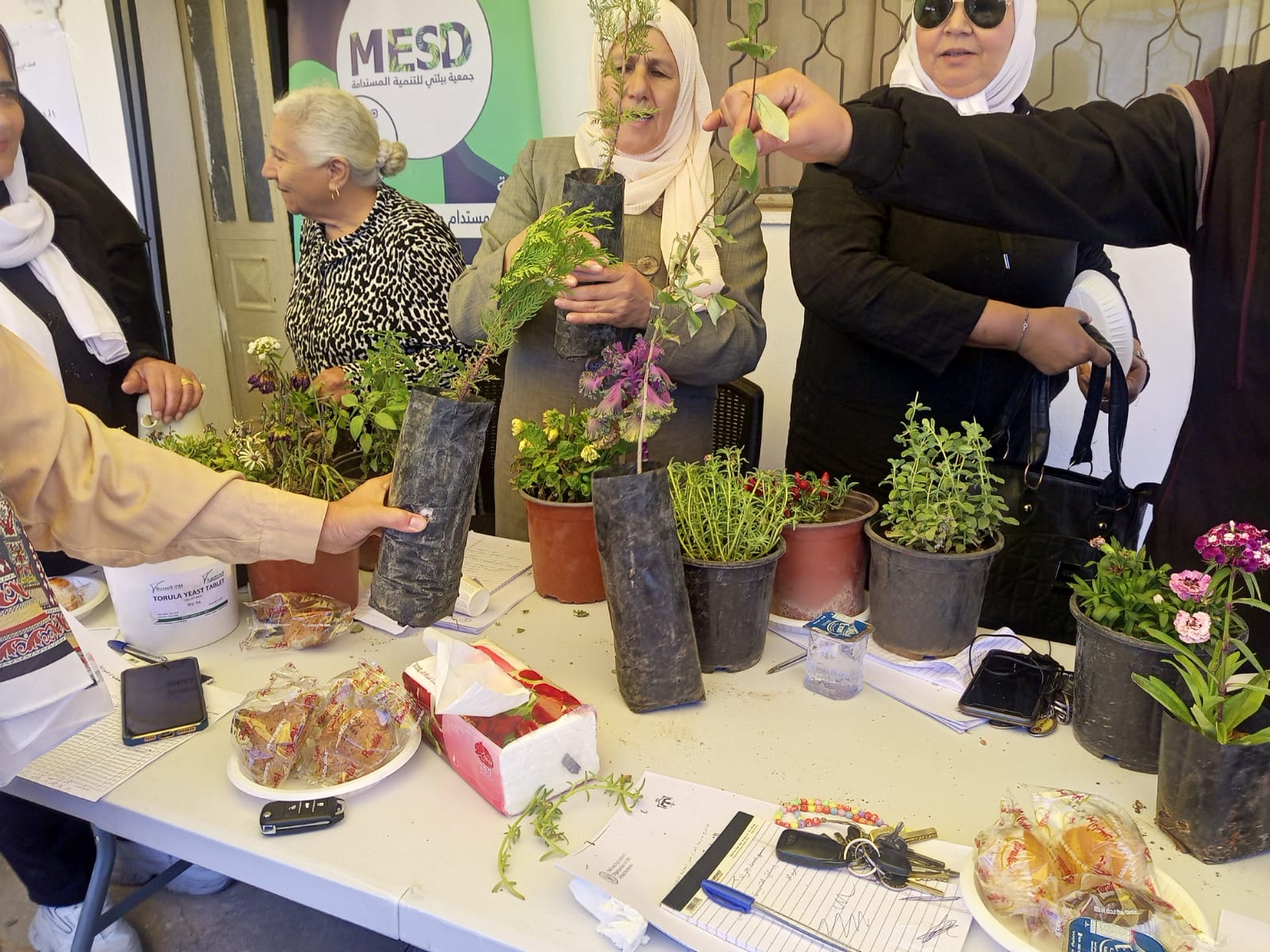 Madar Al-Saa Images 0.5173698332920865