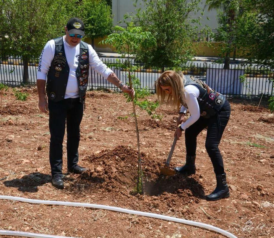 Madar Al-Saa Images 0.5167343429350344