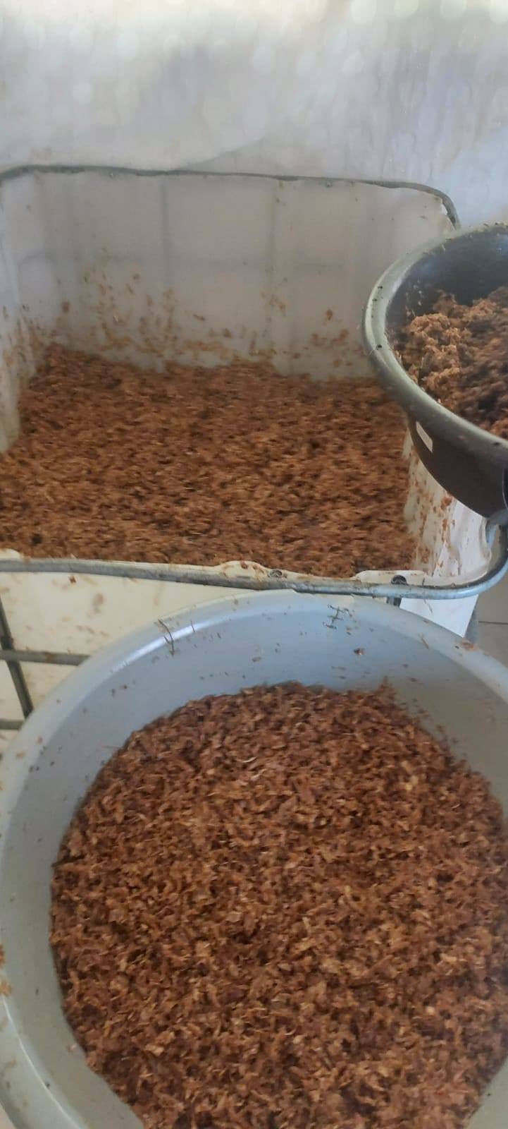 Madar Al-Saa Images 0.9000275774888996