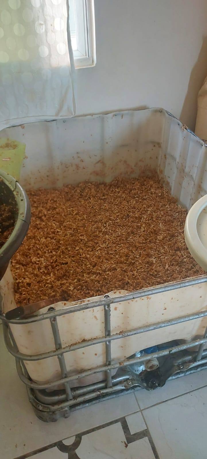 Madar Al-Saa Images 0.8925121274171937