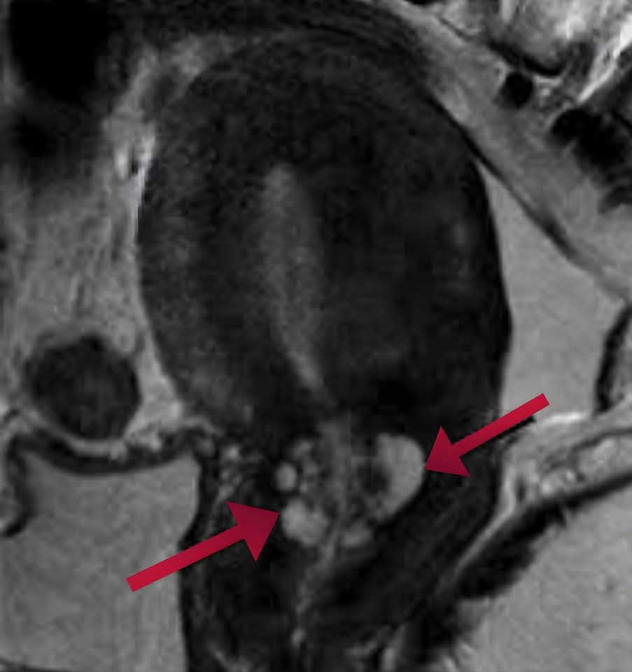 Madar Al-Saa Images 0.7396459351202745