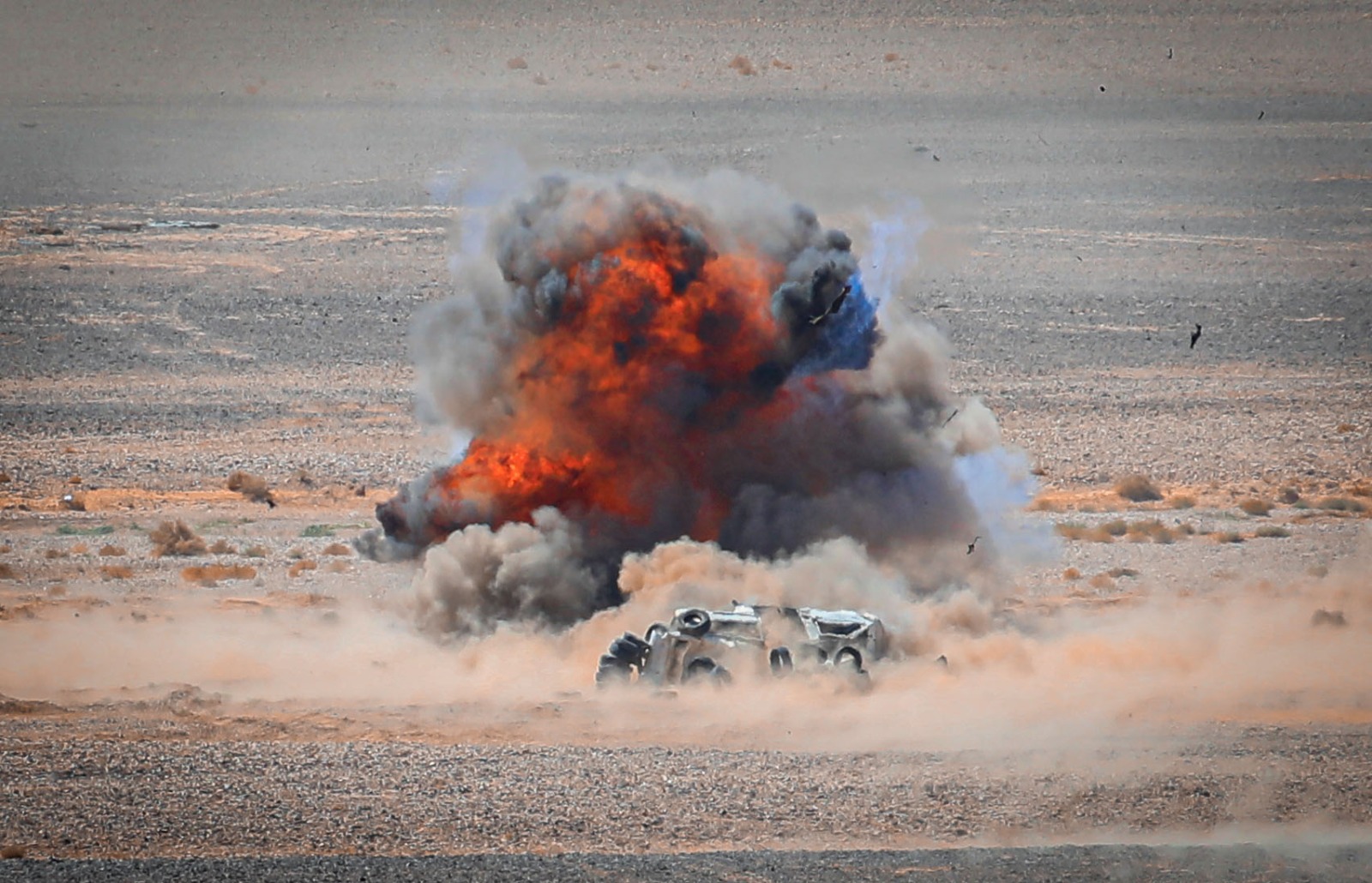 Madar Al-Saa Images 0.16930613465651112