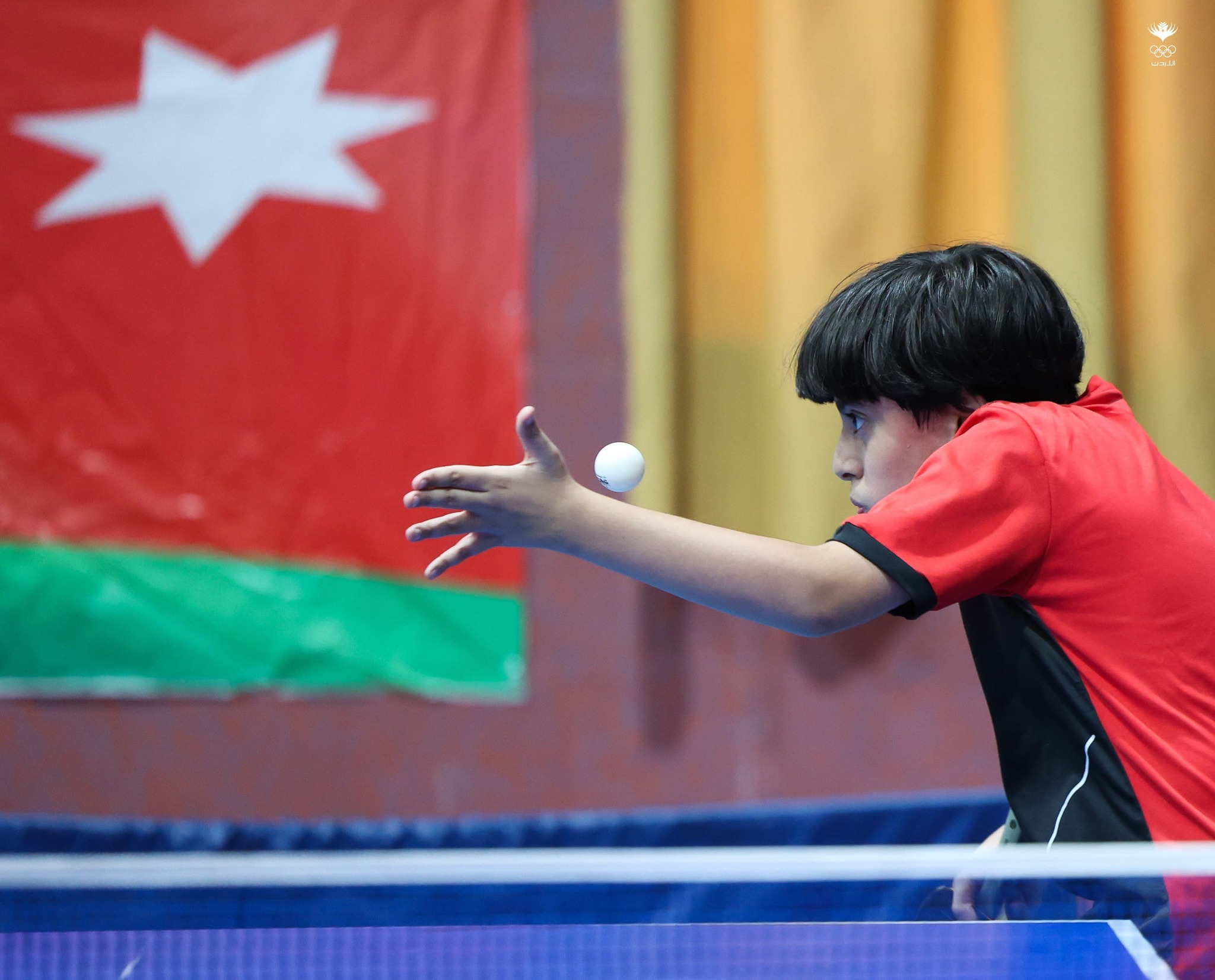 Madar Al-Saa Images 0.7145496546846469